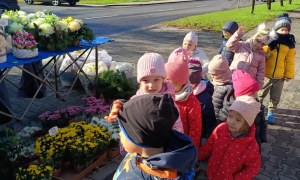 Sówki: Październik 2025 - Zdjęcie 86