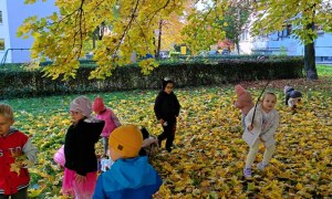 Sówki: Październik 2025 - Zdjęcie 106