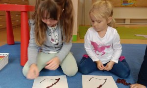 Sówki: Październik 2025 - Zdjęcie 107