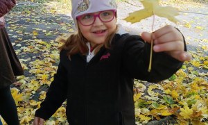 Sówki: Październik 2025 - Zdjęcie 102