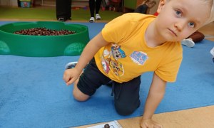 Sówki: Październik 2025 - Zdjęcie 116