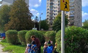 Sówki: Październik 2025 - Zdjęcie 121