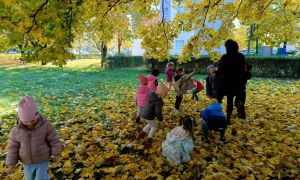 Sówki: Październik 2025 - Zdjęcie 124