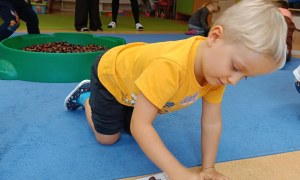 Sówki: Październik 2025 - Zdjęcie 126