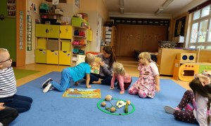 Sówki: Październik 2025 - Zdjęcie 132