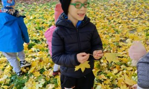 Sówki: Październik 2025 - Zdjęcie 149