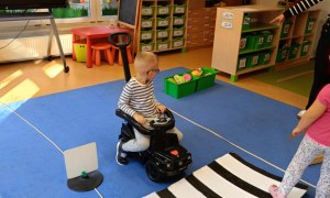 Sówki: Październik 2025 - Zdjęcie 153