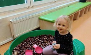 Sówki: Październik 2025 - Zdjęcie 170