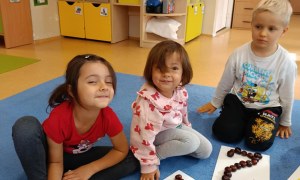 Sówki: Październik 2025 - Zdjęcie 181