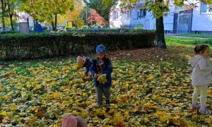 Sówki: Październik 2025 - Zdjęcie 200