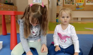 Sówki: Październik 2025 - Zdjęcie 205