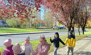 Sówki: Październik 2025 - Zdjęcie 212