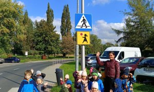 Sówki: Październik 2025 - Zdjęcie 227