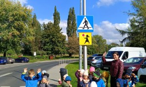 Sówki: Październik 2025 - Zdjęcie 236