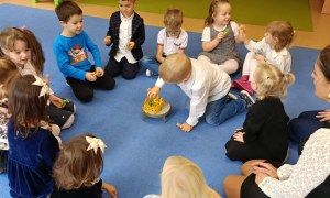 Sówki: Październik 2025 - Zdjęcie 237