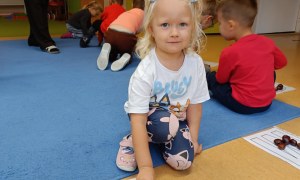 Sówki: Październik 2025 - Zdjęcie 238