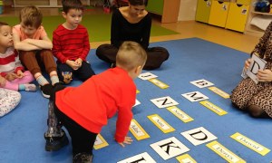 Sówki: Październik 2025 - Zdjęcie 234