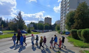 Sówki: Październik 2025 - Zdjęcie 243