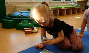 Sówki: Październik 2025 - Zdjęcie 255