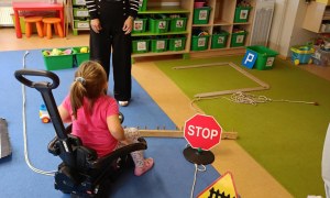 Sówki: Październik 2025 - Zdjęcie 253