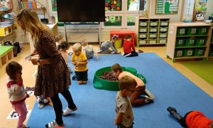 Sówki: Październik 2025 - Zdjęcie 260