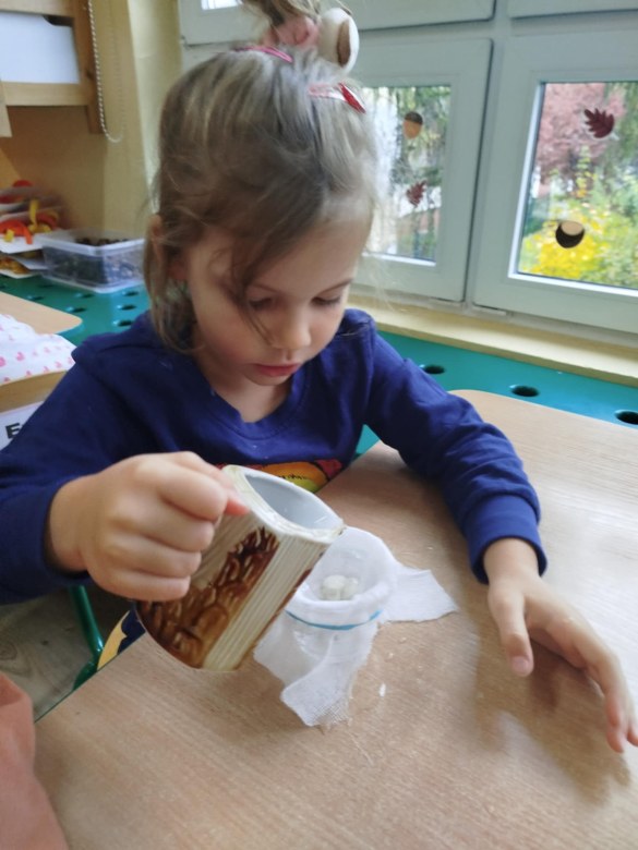 Liski: Październik 2025 - Zdjęcie 13