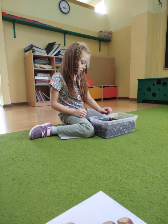 Liski: Październik 2025 - Zdjęcie 17