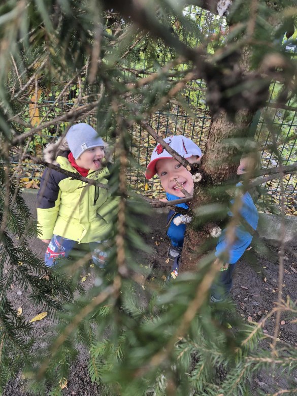 Liski: Październik 2025 - Zdjęcie 18