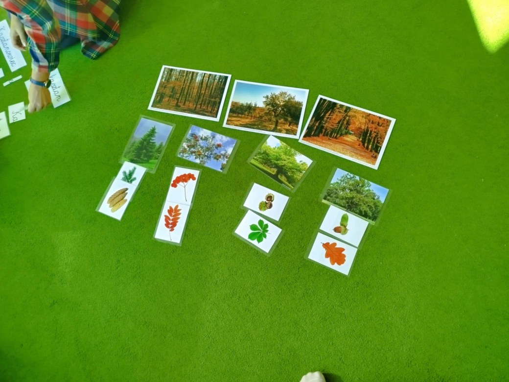 Liski: Październik 2025 - Zdjęcie 36