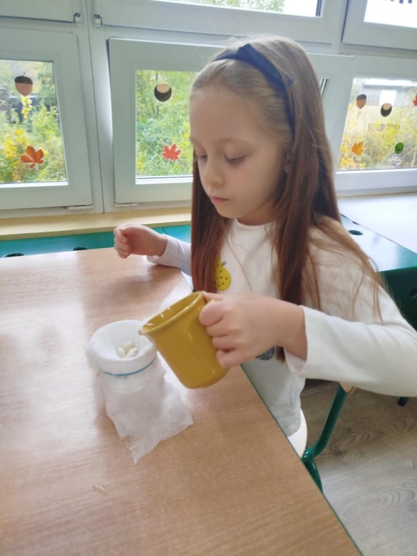 Liski: Październik 2025 - Zdjęcie 49