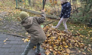 Liski: Październik 2025 - Zdjęcie 14