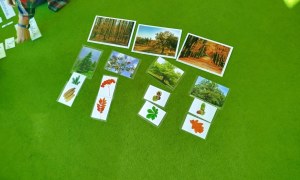 Liski: Październik 2025 - Zdjęcie 36