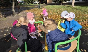 Liski: Październik 2025 - Zdjęcie 48