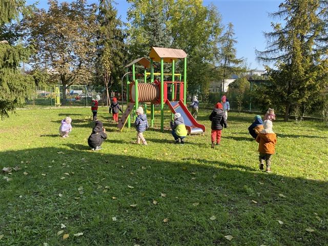 Misie: Październik 2025 - Zdjęcie 54