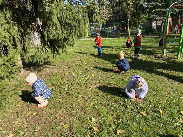 Misie: Październik 2025 - Zdjęcie 55