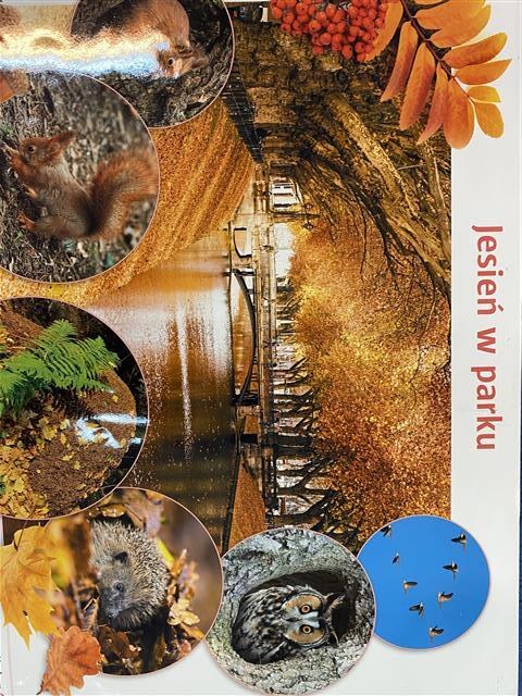 Misie: Październik 2025 - Zdjęcie 60