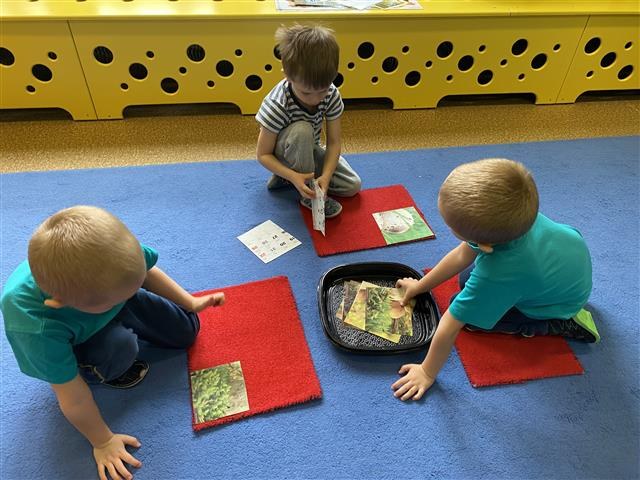 Misie: Październik 2025 - Zdjęcie 81