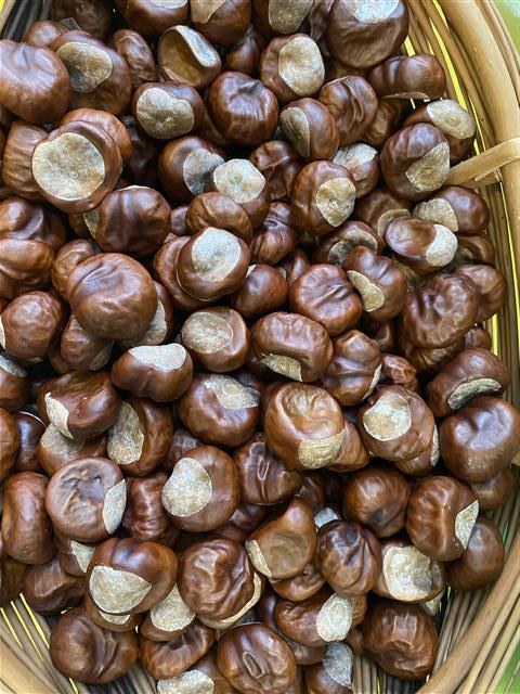 Misie: Październik 2025 - Zdjęcie 85