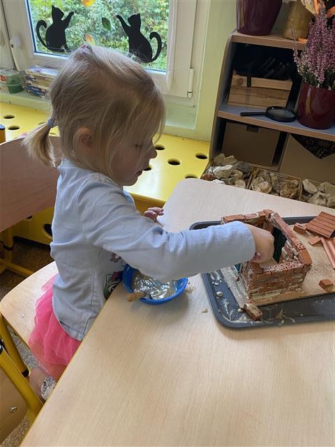 Misie: Październik 2025 - Zdjęcie 94