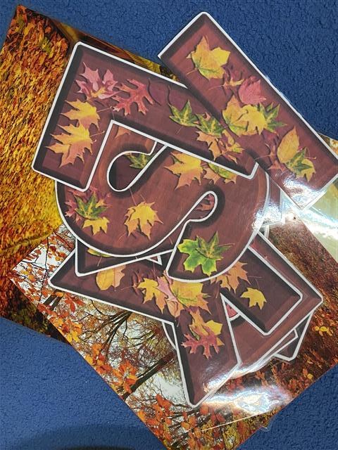 Misie: Październik 2025 - Zdjęcie 104