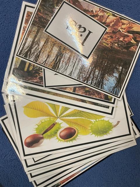 Misie: Październik 2025 - Zdjęcie 106