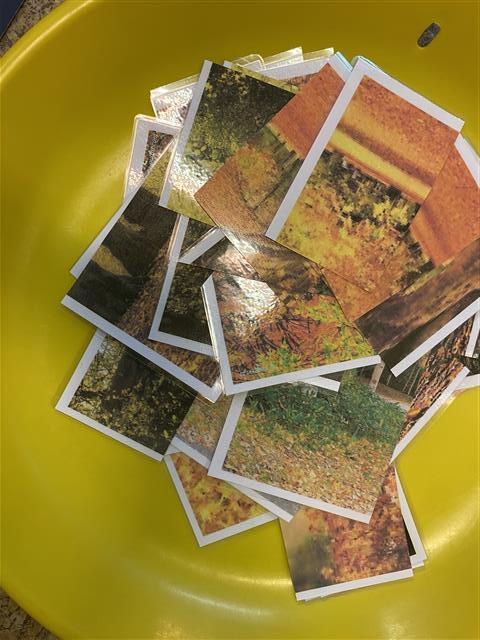 Misie: Październik 2025 - Zdjęcie 112