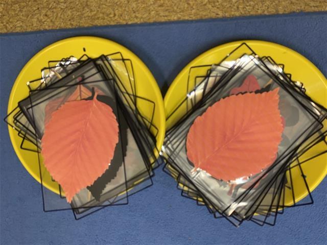 Misie: Październik 2025 - Zdjęcie 123