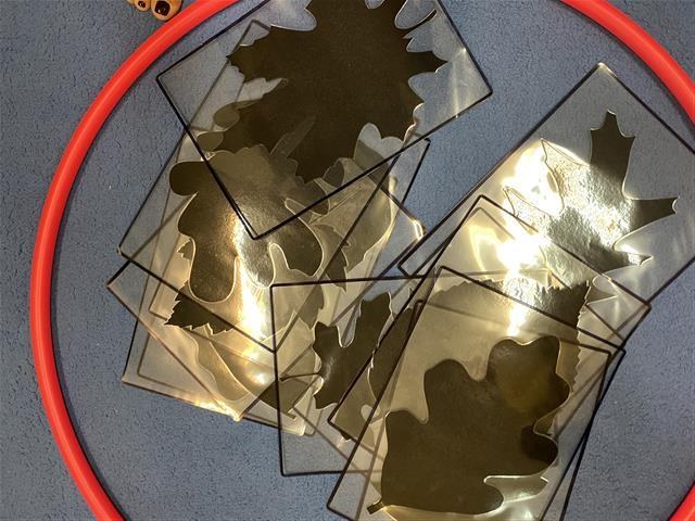 Misie: Październik 2025 - Zdjęcie 130