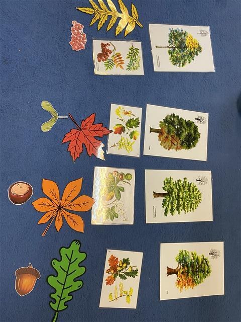 Misie: Październik 2025 - Zdjęcie 143