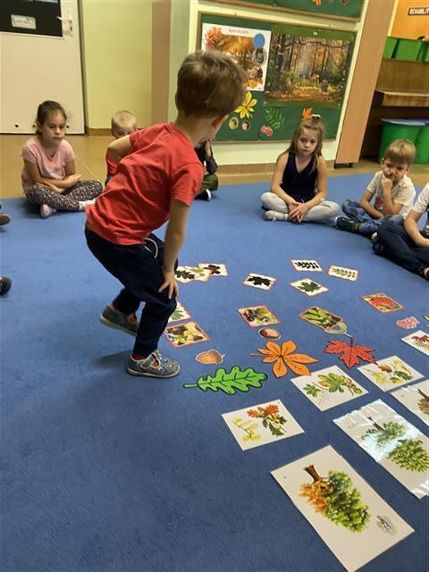 Misie: Październik 2025 - Zdjęcie 148