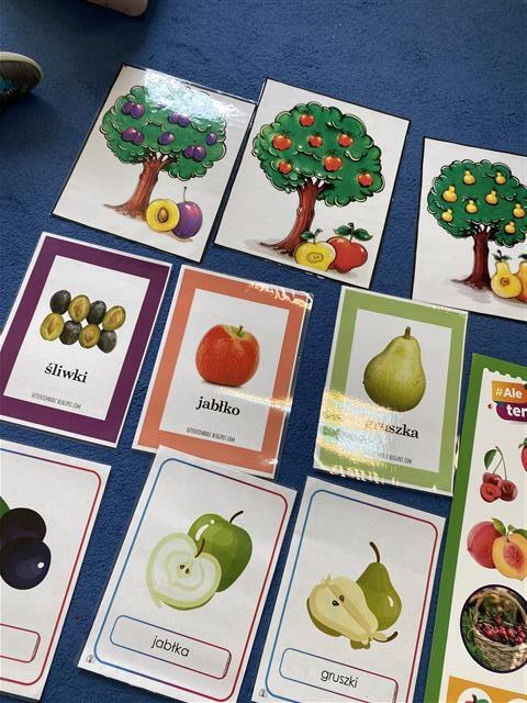 Misie: Październik 2025 - Zdjęcie 157