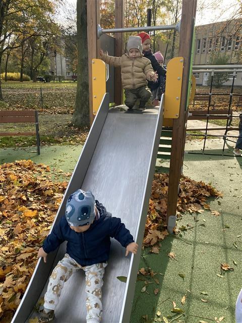 Misie: Październik 2025 - Zdjęcie 234