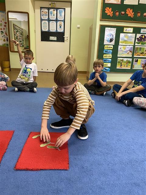 Misie: Październik 2025 - Zdjęcie 325