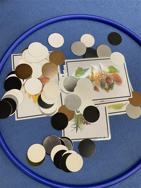 Misie: Październik 2025 - Zdjęcie 332